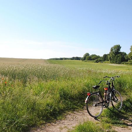 Appartementanlage-Ferienwohnungen Weisse Moewe Sassnitz Buitenkant foto
