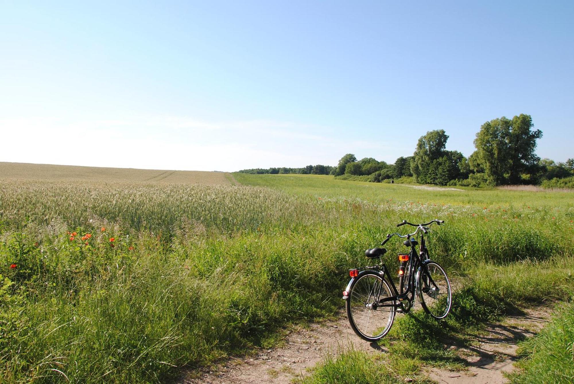 Appartementanlage-Ferienwohnungen Weisse Moewe Sassnitz Buitenkant foto